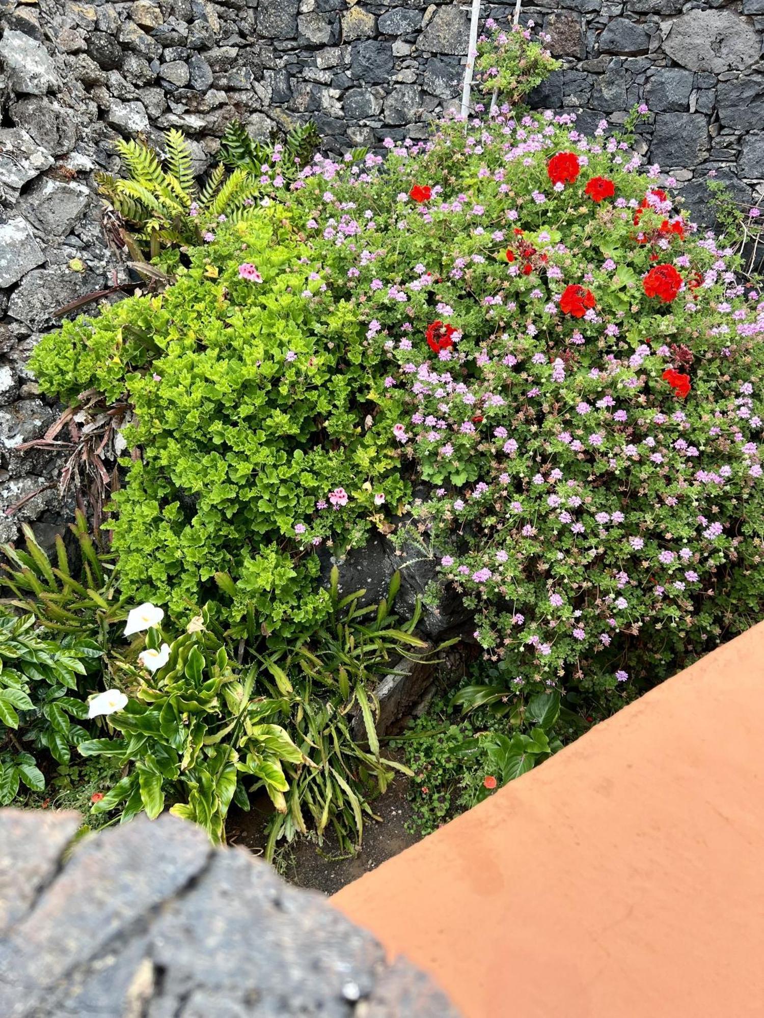 Cozy Rural House Las Guindas, El Hierro Erese Exterior foto